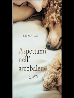 cover image of Aspettami nell´arcobaleno